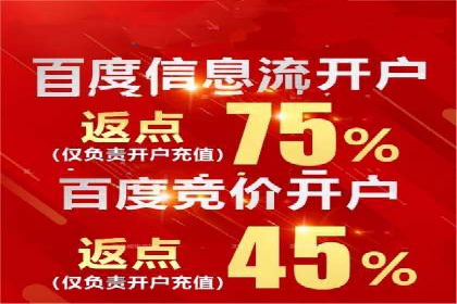 解析SEM投放策略：从经典案例看效果